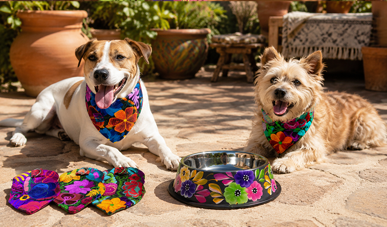 Pet Supplies
