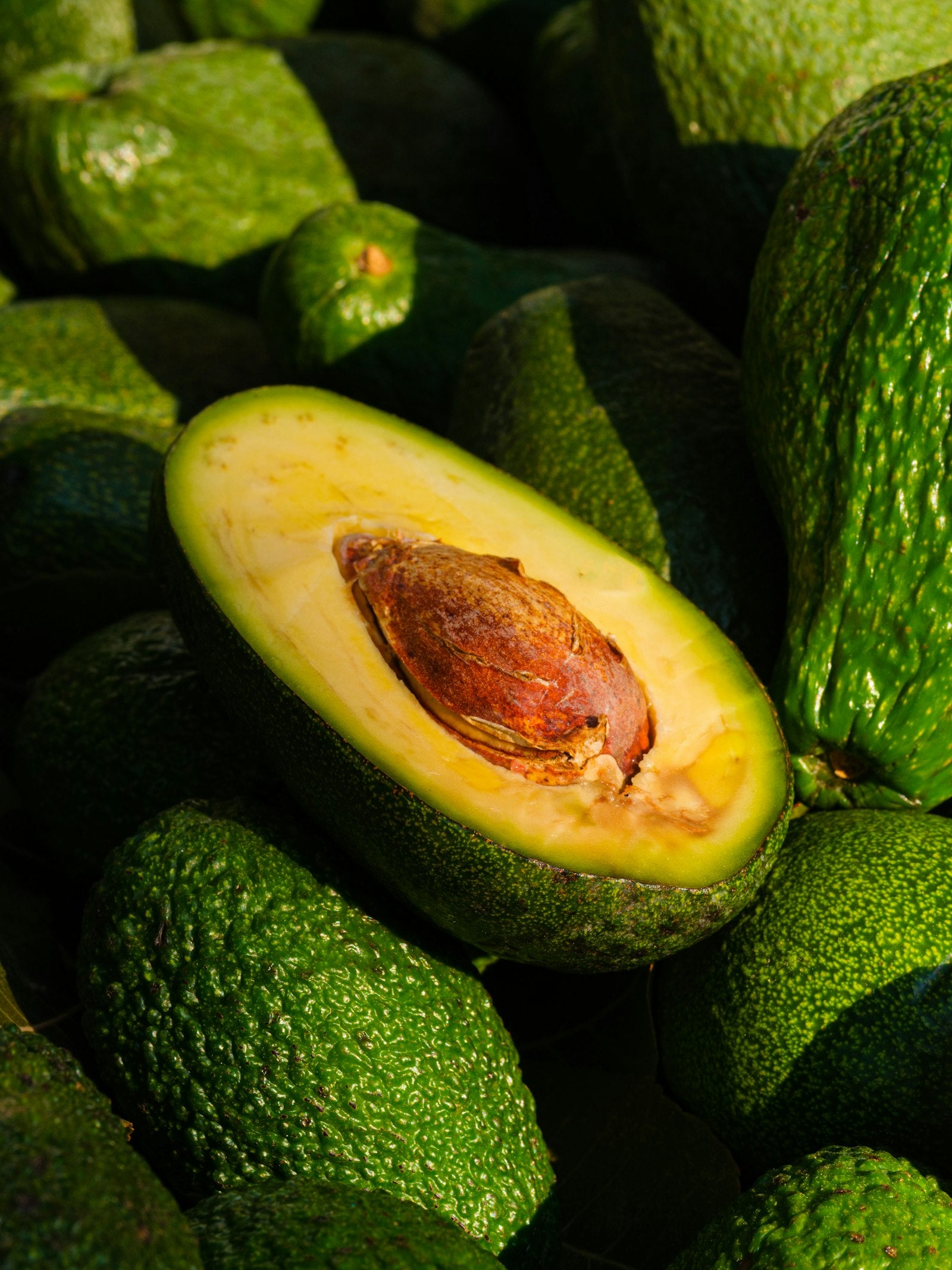 Fresh whole avocados
