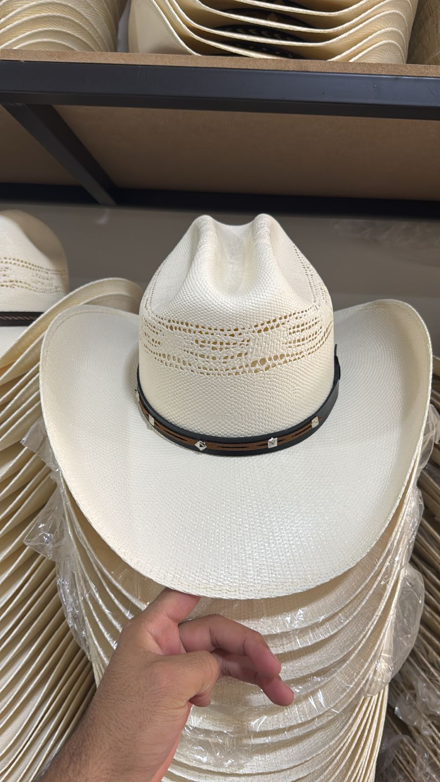 Bangora Americana shape