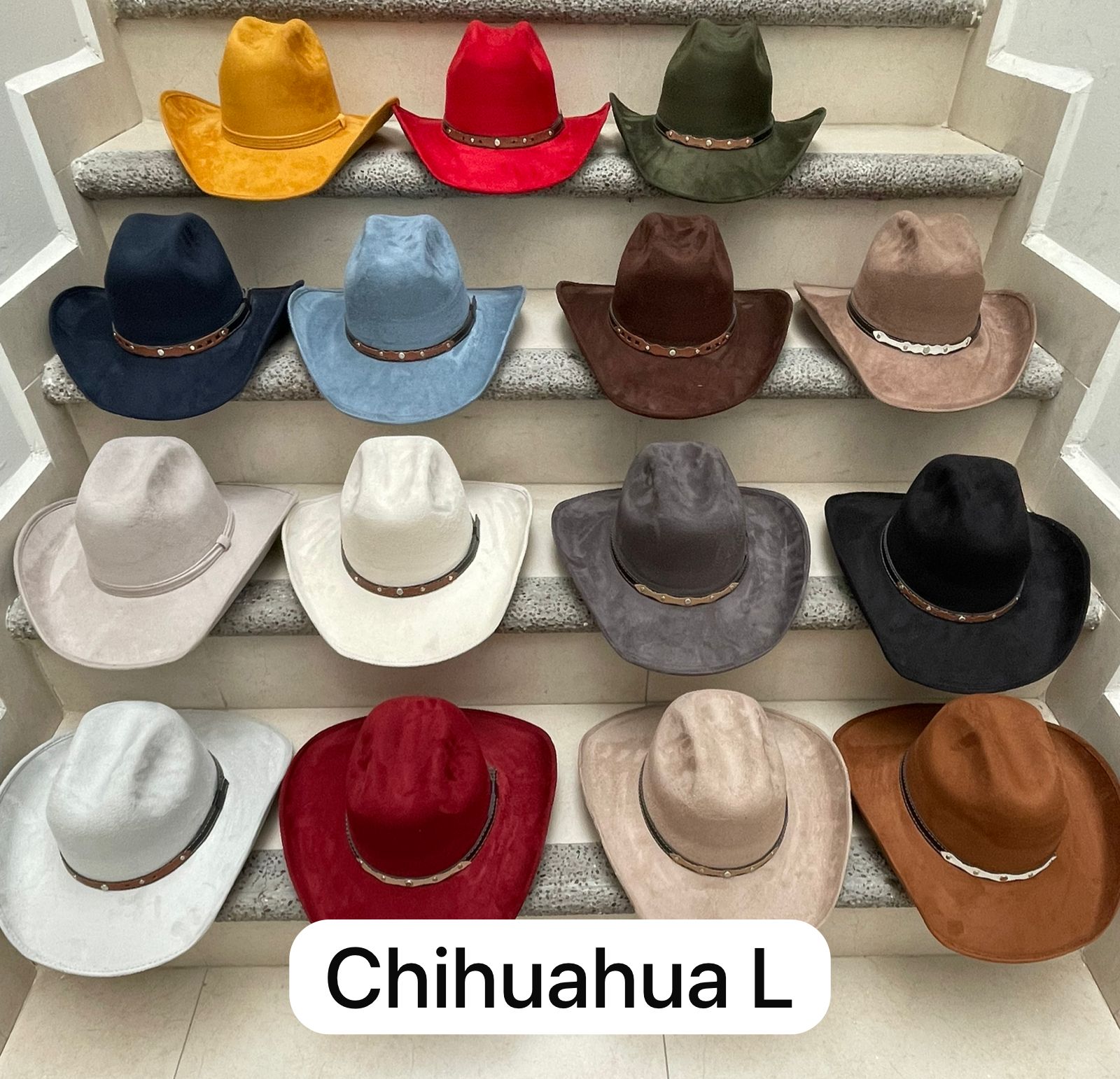 Vaquero Chihuahua