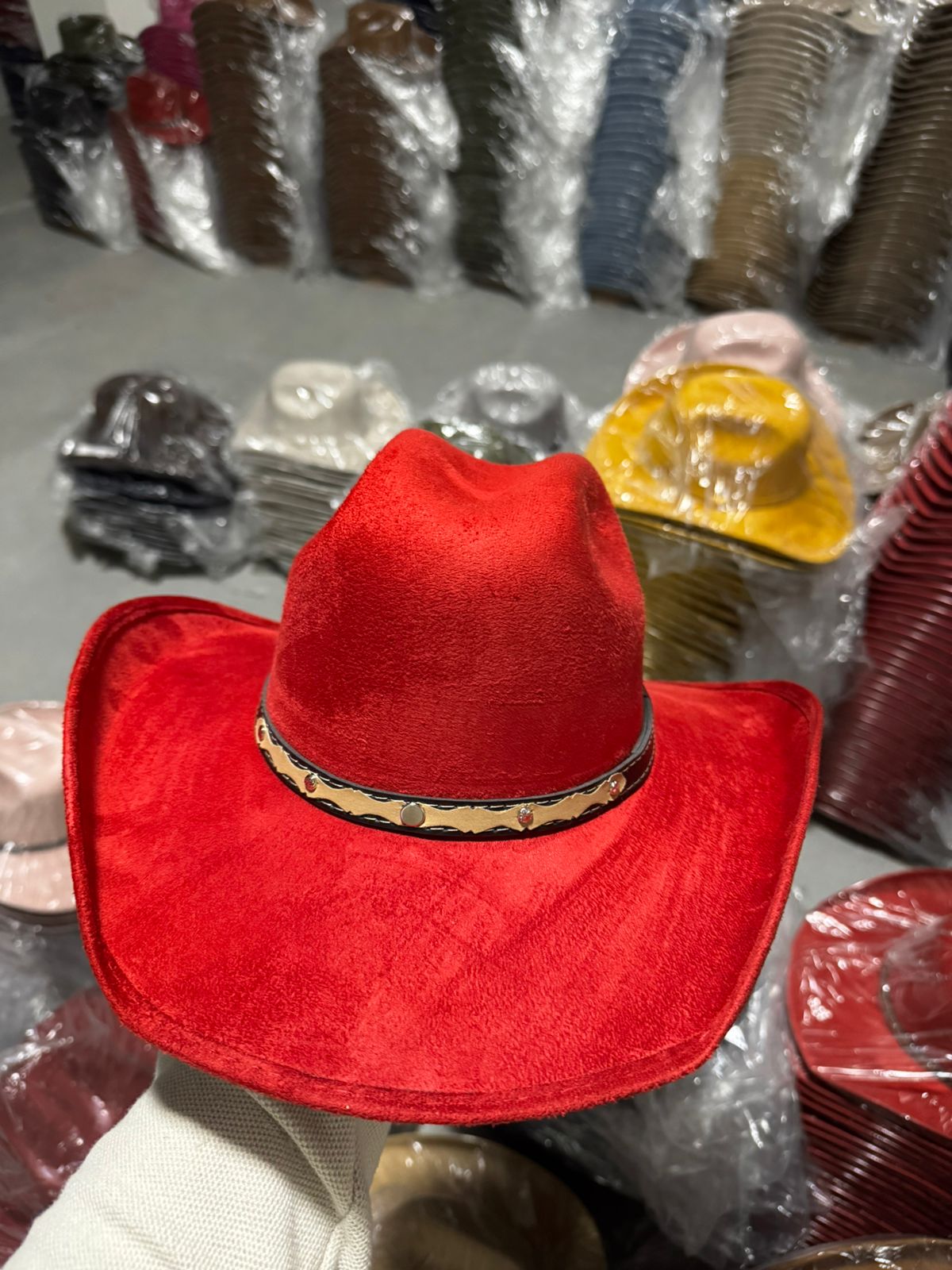 Vaquero Chihuahua