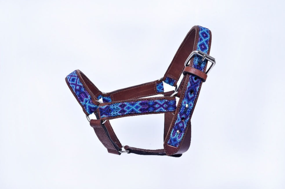 Embroidered leather horse halter race horses MODEL# 030334-LBNP