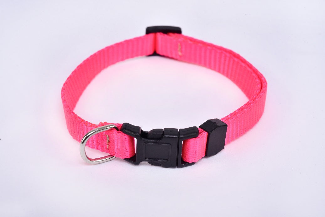 Chihuahua small breed dog collar pink MODEL# 030909