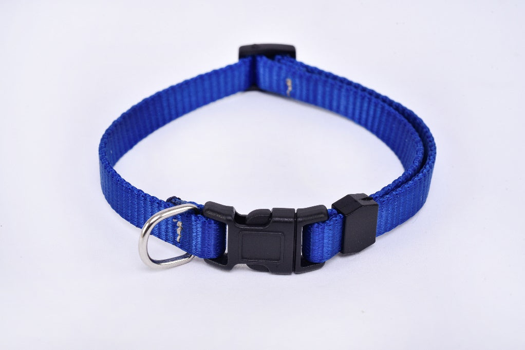 Chihuahua small breed dog collar navy blue MODEL# 030905