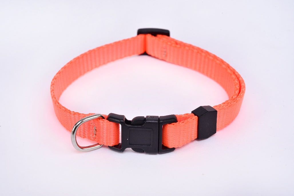 Chihuahua small breed dog collar fluorescent orange MODEL# 030904