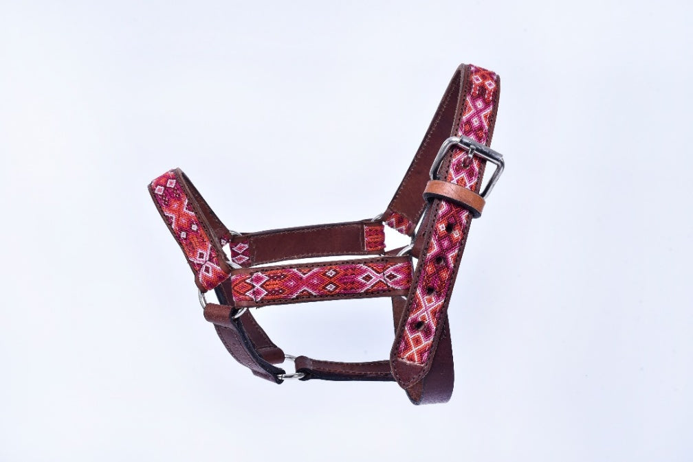 Embroidered leather horse halter race horses MODEL# 030334-RWWH