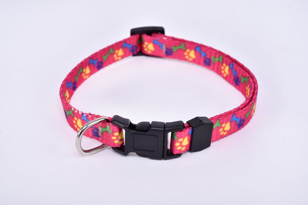Chihuahua small breed dog collar magenta MODEL# 030906