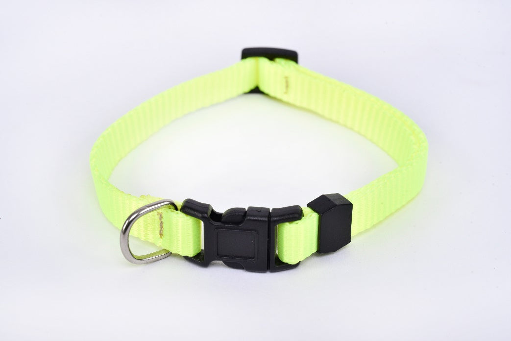 Chihuahua small breed dog collar fluorescent green MODEL# 030903