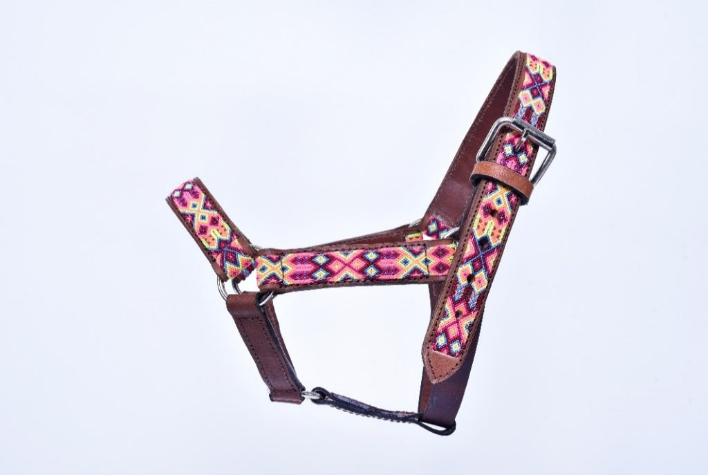 Embroidered leather horse halter race horses MODEL# 030334-PYW