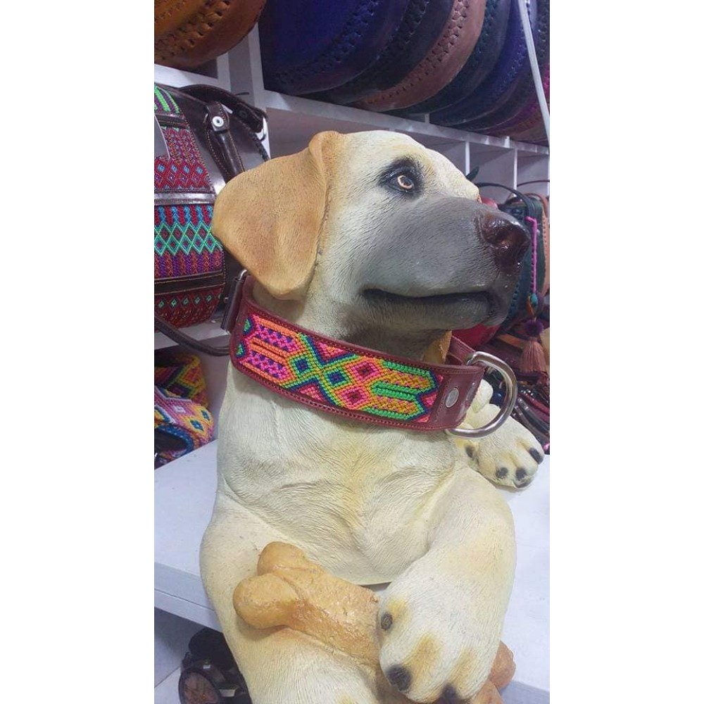 Hand embroidered dog collars Higor Higores