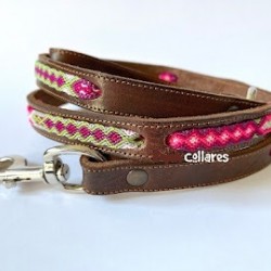 Embroidered dog leashes