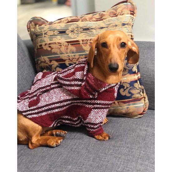 Dog sweaters Dona Joy Moda
