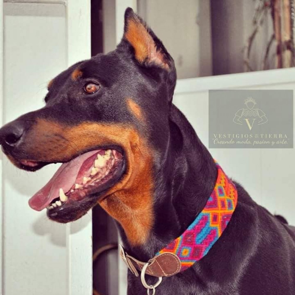 Embroidered dog collars