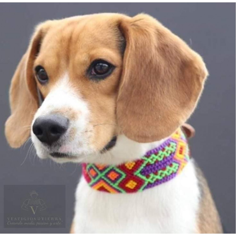 Embroidered dog collars