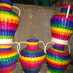 Palm containers Palacios Pala