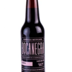 Bocanegra Dunkel beer