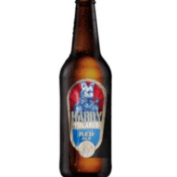 Wendlandt Harry Polanco beer