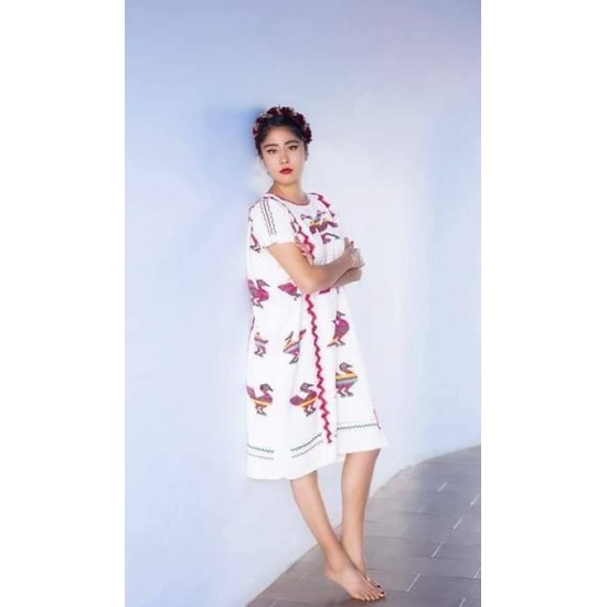 Huipil de Tlacoatzintepec Emprendedoras de sueños