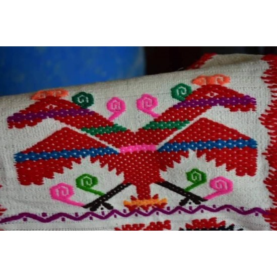 Huipil de Tlacoatzintepec Emprendedoras de sueños