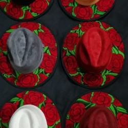 Embroidered hats